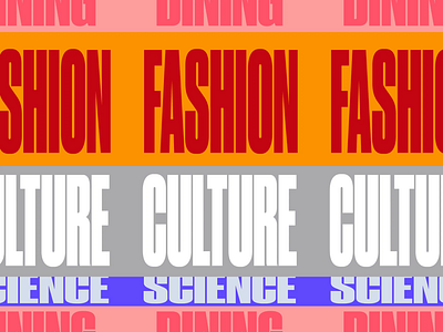The RaDD Typography Animation animation branding california color culture dinning dynamic fashion motion motion graphics real estate san diego scence slides the radd typography typography animation