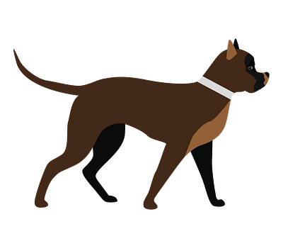 Cute and Steadfast Rottweiler Dog Vector animal vector design graphic design illustration illustrator file illustrator png svg format vector art