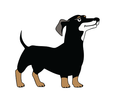 Determined Dachshund Dog Vector animal vector design graphic design illustration illustrator file illustrator png svg format vector art