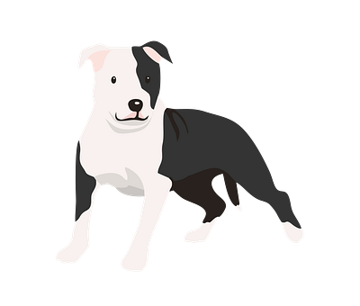 Gladiator Bull Terrier Dog Vector animal vector graphic design illustration illustrator file illustrator png vector art vector format