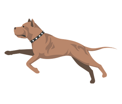 American Staffordshire Terrier Dog Vector animal vector design graphic design illustration illustrator file illustrator png svg format vector art