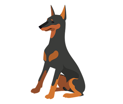 Obliged and Loyal Doberman Dog Vector animal vector design graphic design illustration illustrator file illustrator png svg format vector art