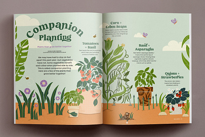 Companion Planting digital illustration editorial illustration garden graphic design illustration layout magazine magazine layout nature procreate publication