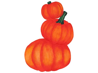 Autumn pumpkin watercolor botanical illustration botanical illustration study traditional watercolor watercolorillustration watercolorstudy