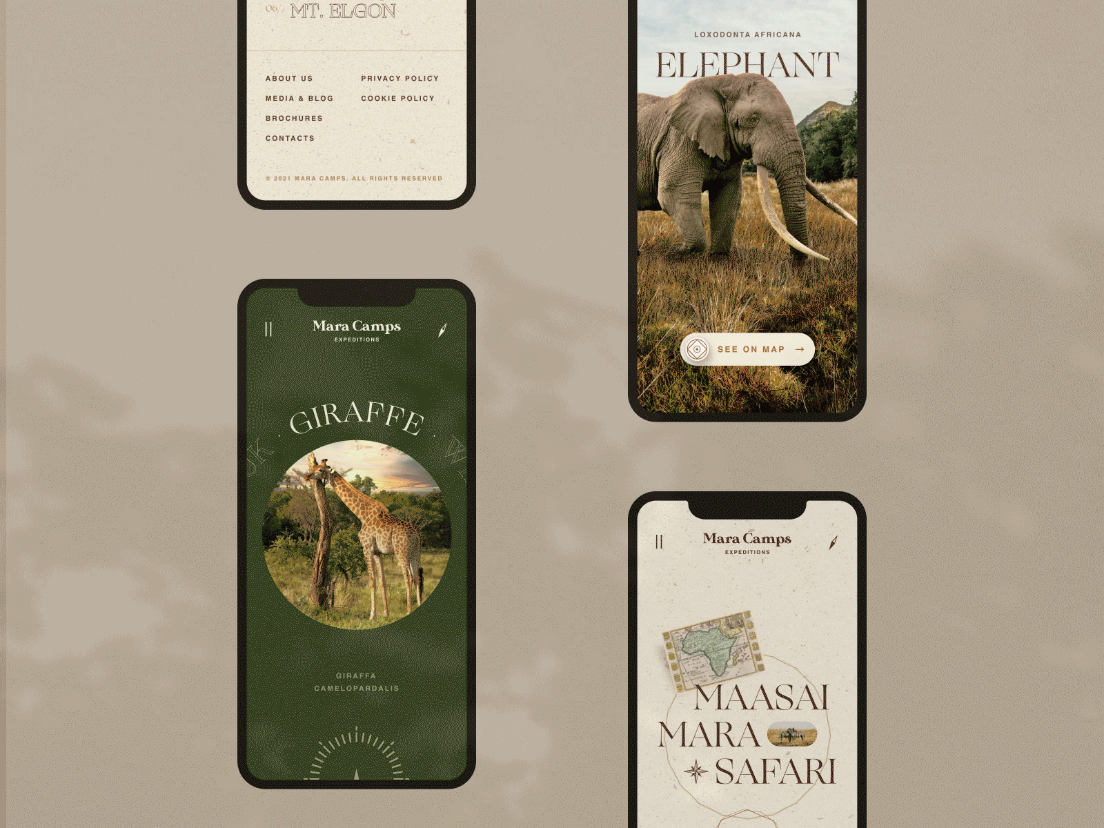 Mara Camps Safari africa animation branding design galary inspiration mobile outline2design travel travel home page ui ux