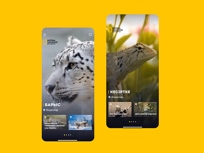 National Geographic Qazaqstan animation appdesign motion natgeo ui ux