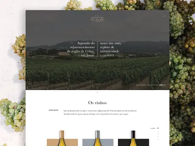 Quinta San Michel HomePage design homepage ui web website wine