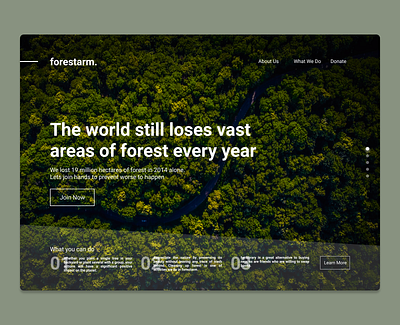 Forest (NGO) website design ui ux web web design webdesign