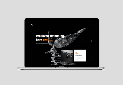 Turtles design ui web