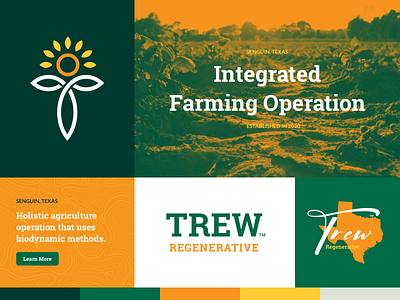 TERW Regenerative agriculture branding design graphic design icon illustration logo logo design map mark nature photoshop ui ux vector
