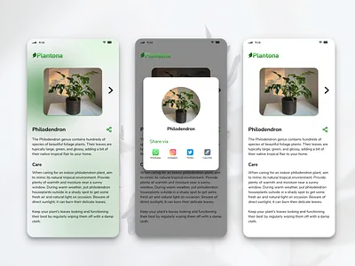 Social Share dailyui design designer designthinking figma learndesign logo logodesign motivation plantagency plantona plants socialshare ui uiuxdesign userexperience userexperiencedesign userinterface userinterfacedesign ux