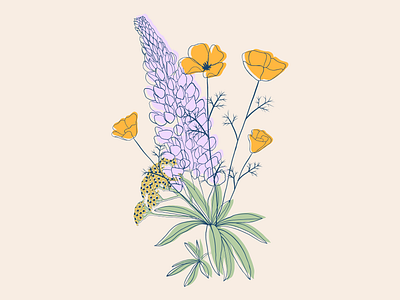 California Wildflowers botanical bouquet california design flowers illustration lupin lupin flower poppy flowers wildflowers yarrow yarrow flower