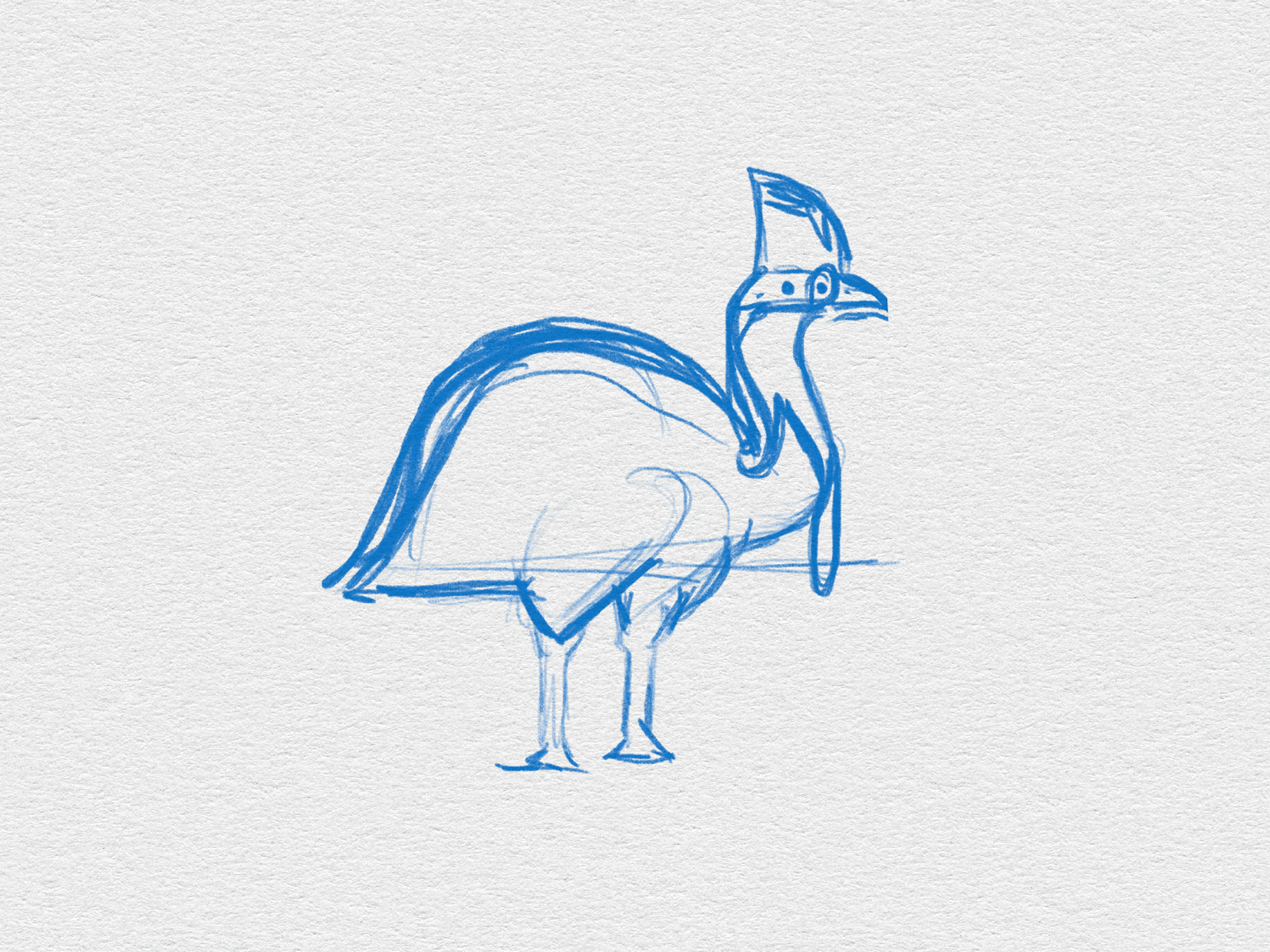 Bird Illustration No.1 birds graphic design illustration process