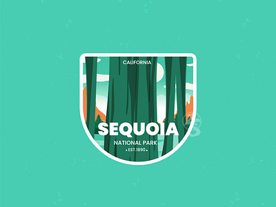 Sequoia 3d badge branding decal design flat graphic design illustration line art logo motion graphics national park retro sequoia ui usa vector