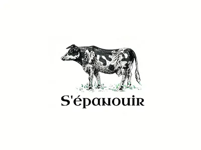 hand drawn cow logo branding character classic cow cows design farm graphic design hand drawn handrawn icon illustration illustrator ink logo retro ui ux vector vintage