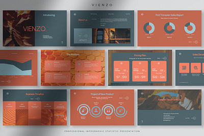 Vienzo - Professional Infographic Presentation clean colorful company corporate google slides keynote modern multipurpose multipurpose template photography pitch deck portfolio powerpoint presentation studio template unique web design web development website