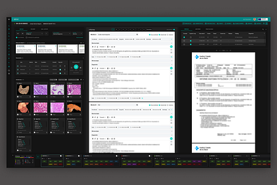 Anatomical Pathology Diagnostic Tool app design interface ui ux