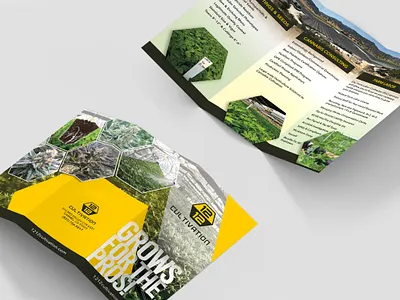 1212 Cultivation Brochure branding brochure design