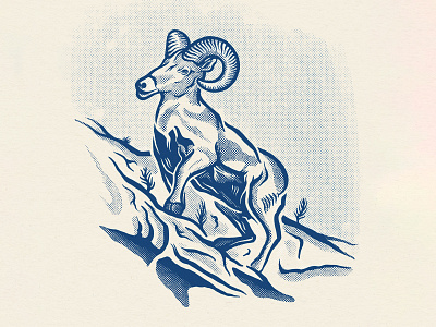 Ram Illustration design graphic halftone illustration ram woodcut