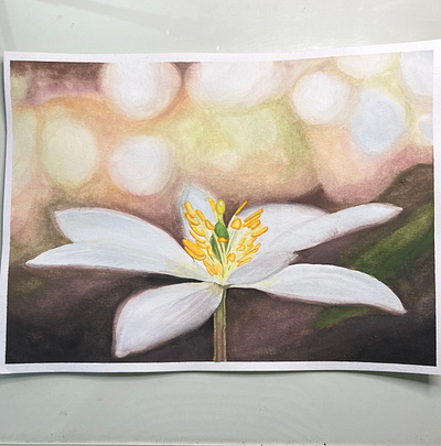 White Flower gouache illustration painting