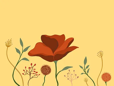 Evening Glory adobe fresco colourful floral art flowers illustration illustration art pretty