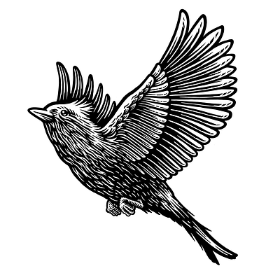 Larks birds branding bw feathers illustration larks