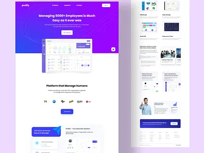 Profify - SAAS Product Design branding design illustration logo typography ui ux web