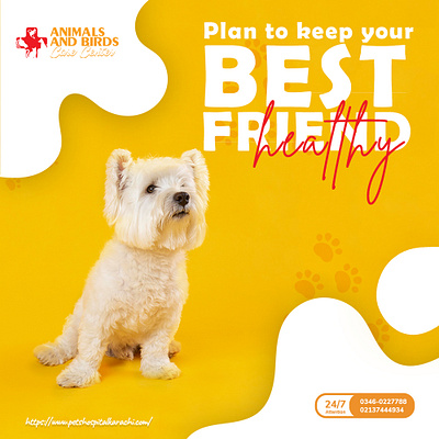 Plan to keep your Best Friend Healthy branding design illustration logo typography vector