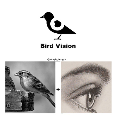 Bird Vision Brand branding design graphic design logo typography