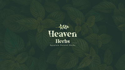 Heaven Herbs branding eco friendly graphic design green tea herbs leaf logo logo design organic packaging tea