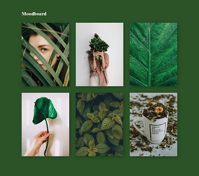 Heaven herbs mood board green leaves logo lush mood board photography