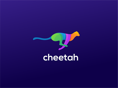 CHEETAH big cat
