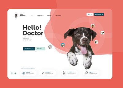 Pets Care website Design herobanner illustrations landing page logo new 2020 pets petswebsite webapp website design website developement