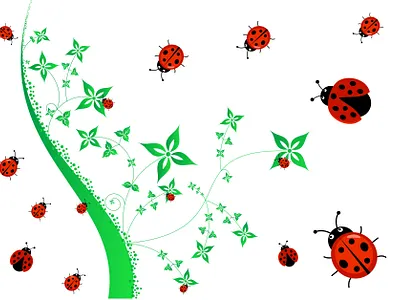 Ladybug Vector Design graphic design ladybug vector design