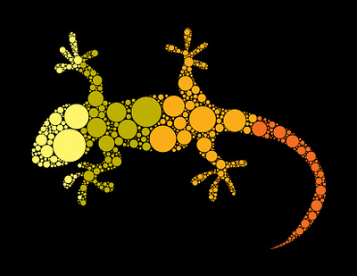 Gecko graphic design illustration vector