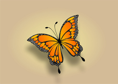 Butterfly Vector Design butterfly vector design graphic design