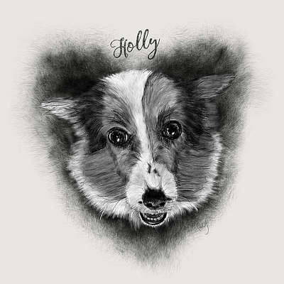 Pet Portrait - Holly corgi dog drawing illustration petportrait