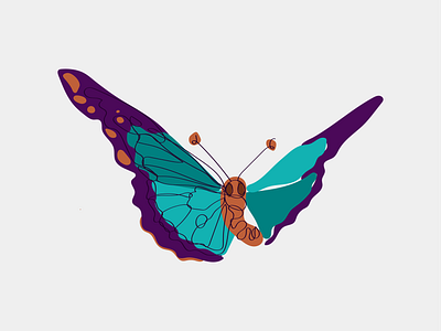 Butterfly oneline art illustration oneline onelineart vector