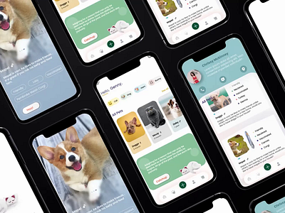 Adopet | Pet Adoption App | Pet Community adopet after effect animation app animation app flow app ui clean creative exploration figma mobile app animation mobile app concept modern motion graphics motion video pet pet adoption promotional video ui