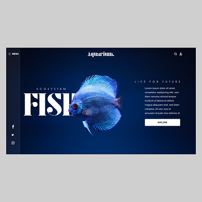 Fish website branding graphic design ui