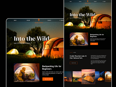 Into the wild camping landing page camping concept dark mode dark ui figma graphic design home page landing page minimal minimal design product design sketch travel ui ui design ux uxui web design website xd