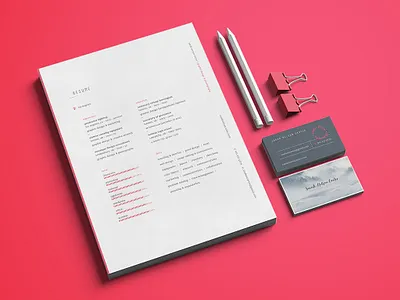 Peronsal Branding — Resume brand branding creative design designer graphic design graphics illustration logo vector