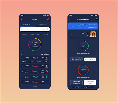 Wallet & Fees and restrictions UI design app design ui ux