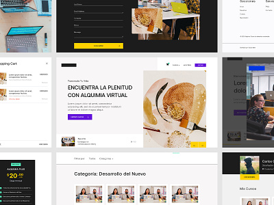 Alquimia Virtual branding design diseño graphic design product design ui web