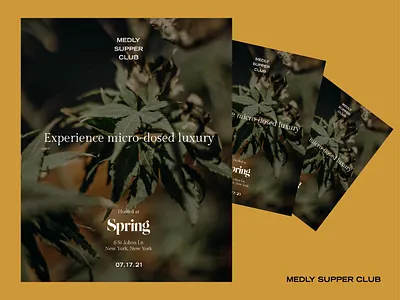 Medly Supper Club Flyers advertising branding cannabis luxury poster print