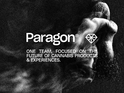 Paragon Branding branding cannabis fashion logo modern street wear streetwear weed