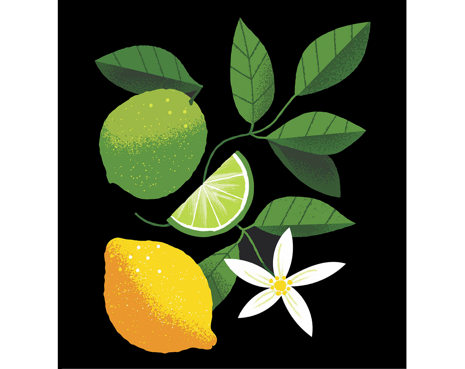 Example of Citrus fruits