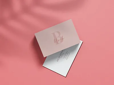 Branding-Business Card brand design branding design graphic design icon illustration logo ui ux vector