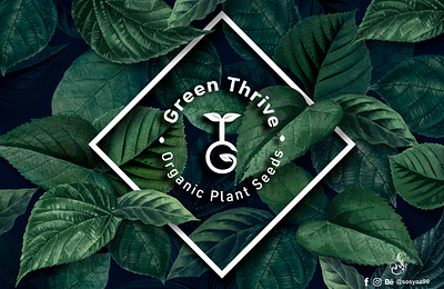 Green Thrive Logo art branding design designer graphic design green illustration logo logos plant plants ui ux vector