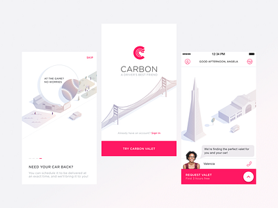 Carbon Valet - Onboarding branding mobile mobile app product design ui ux web